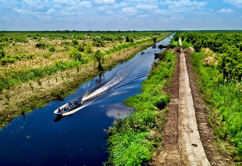 La merveilleuse peinture de paysage du parc national d’U Minh Thuong